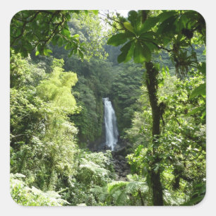 Sticker Carré Trafalgar Falls Tropical Rainforest Photographie
