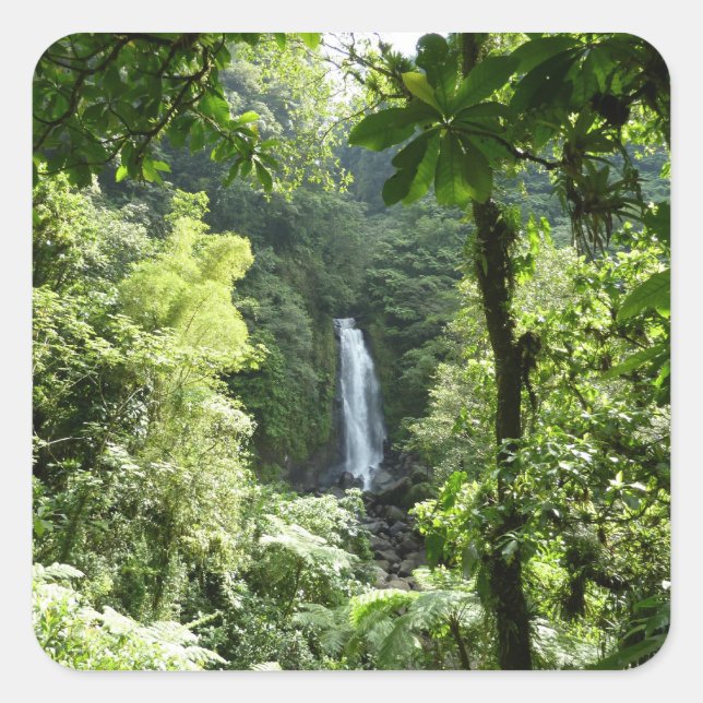 Sticker Carré Trafalgar Falls Tropical Rainforest Photographie (Devant)