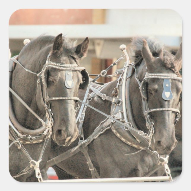 Sticker Carré Travail d'équipe (Devant)