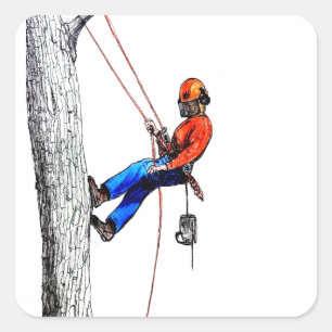 Sticker Carré Tree Surgeon Arborist Forester