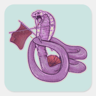Sticker Carré Tricot de serpent