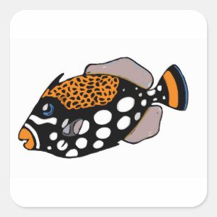 Sticker Carré Triggerfish de clown