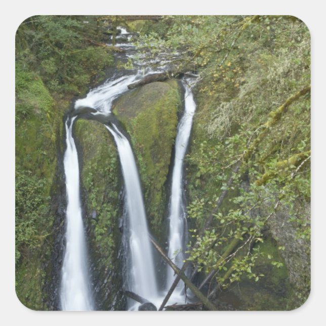 Sticker Carré Triple Falls, gorge du Columbia (Devant)