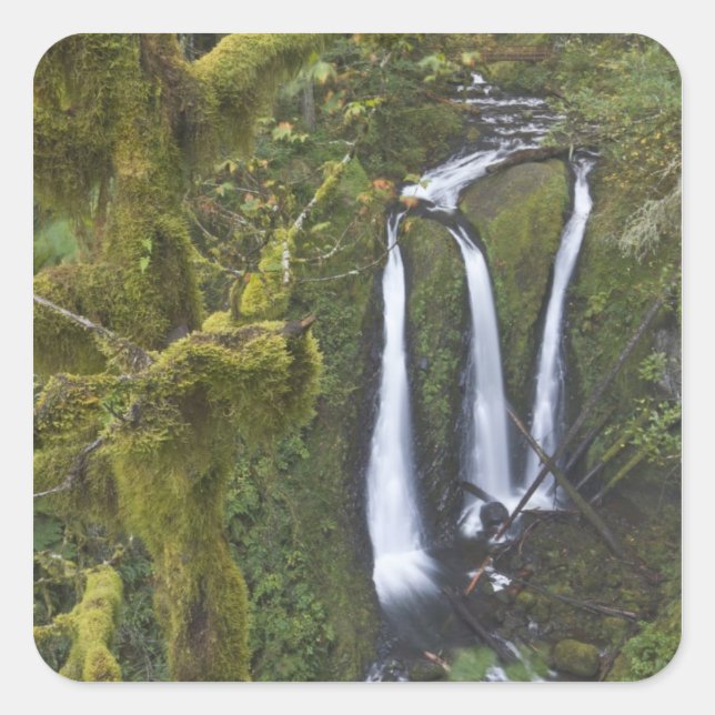 Sticker Carré Triple Falls, gorge du Columbia (Devant)