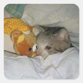 Sticker Carré triste chat au lit