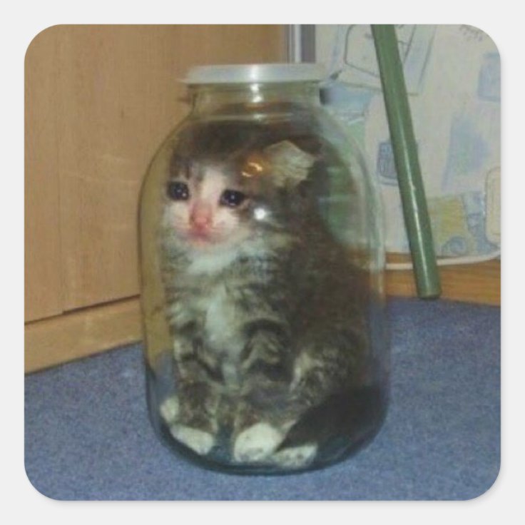 Sticker Carre Triste Chat Dans Le Pot Zazzle Fr Sticker Carre Triste Chat Dans Le Pot Zazzle Fr