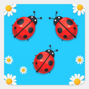 Sticker Carré Trois coccinelles colorées sur fond bleu