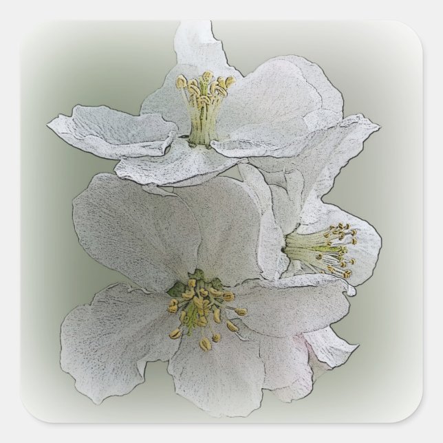 Sticker Carré trois fleurs blanches (Devant)