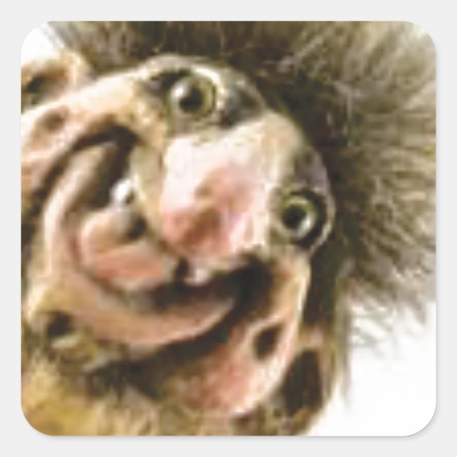 Sticker Carré Troll de Busta (Devant)