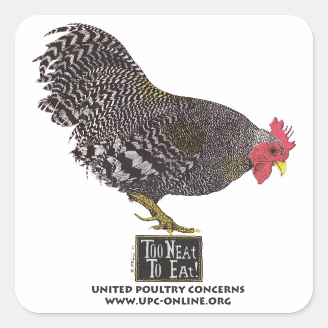 Sticker Carré Trop Belle Pour Manger ! - Rooster (Devant)