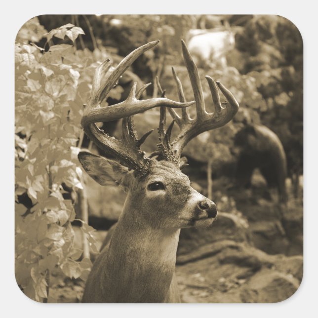 Sticker Carré Trophée Deer (Devant)