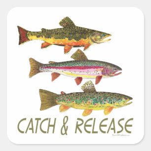 Sticker Carré Trout Catch and Release