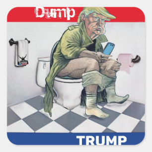 Sticker Carré Trump