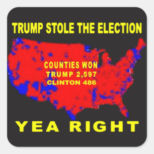 STICKER CARRÉ TRUMP A VOLÉ L'ÉLECTION
