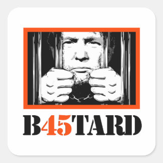 Sticker Carré Trump B45tard