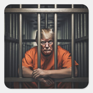 Sticker Carré Trump en prison