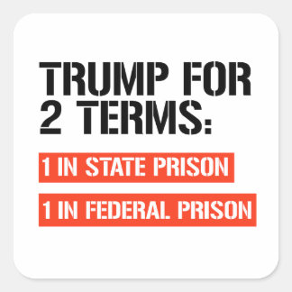 Sticker Carré Trump pour 2 mandats : Prison d'État et Prison féd