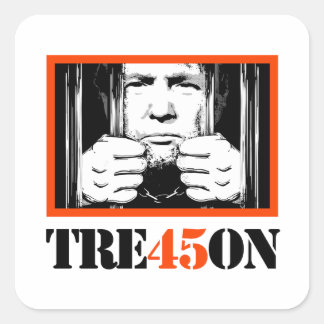Sticker Carré Trump Tre45on