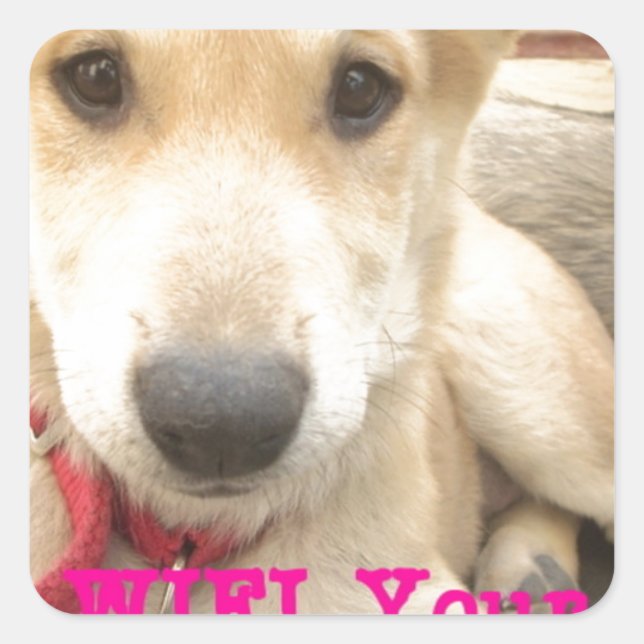 Sticker Carré Tu Devrais WIFI Ton Amour Tous Les Jours (Devant)