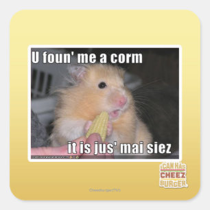 Sticker Carré Tu m'as trouvé du maïs