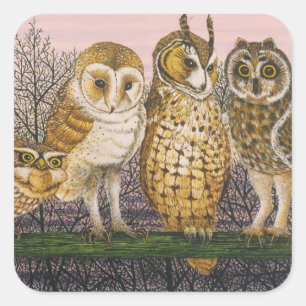 Sticker Carré Tu-whit Tu-whooing