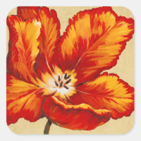 Tulipe de perroquet I