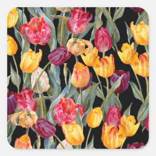 Sticker Carré Tulipes colorées, arrière - plan noir isolé.