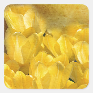 Sticker Carré Tulipes jaunes d'aquarelle avec Chevron