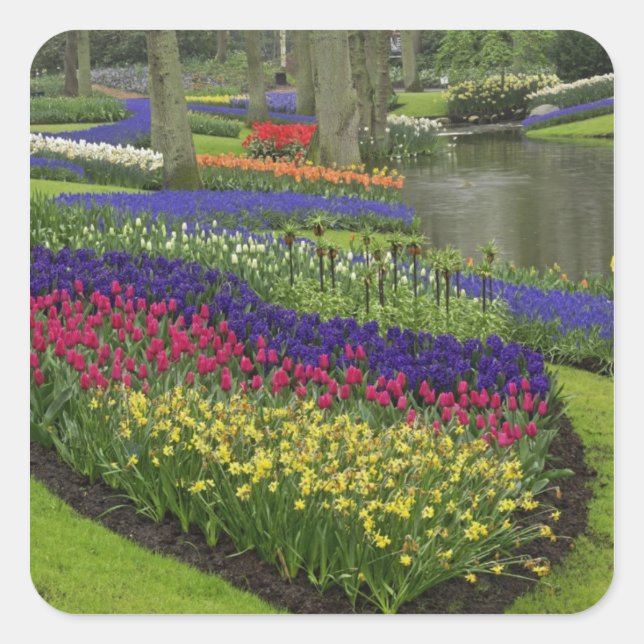 Sticker Carré Tulipes, Muscari, et jonquilles, (Devant)