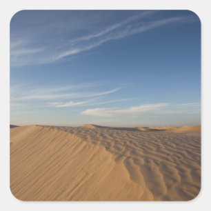 Sticker Carré Tunisie, désert du Sahara, Douz, Grande Dune, crép