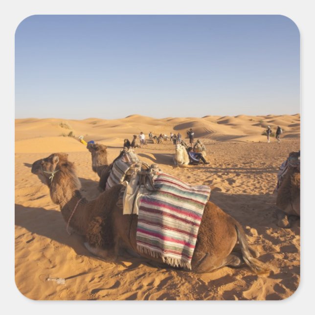 Sticker Carré Tunisie, Ksour Area, Ksar Ghilane, Grand Erg 3 (Devant)