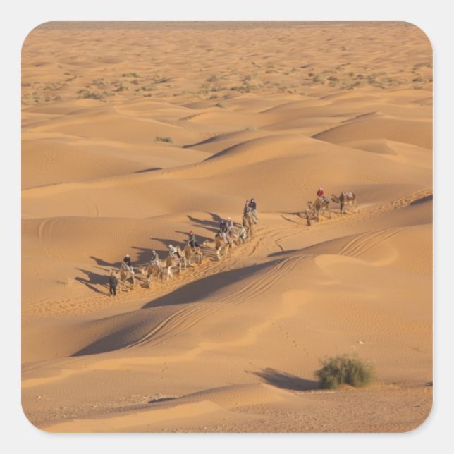 Sticker Carré Tunisie, Ksour Area, Ksar Ghilane, Grand Erg 4 (Devant)