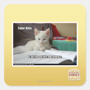Sticker Carré Tutor Kitty