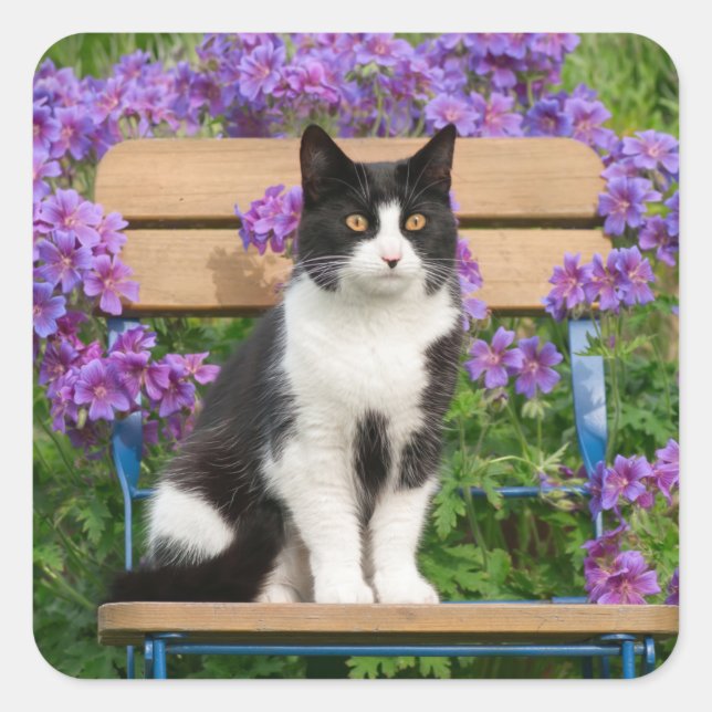 Sticker Carré Tuxedo cat sitting on a garchair with flowers (Devant)