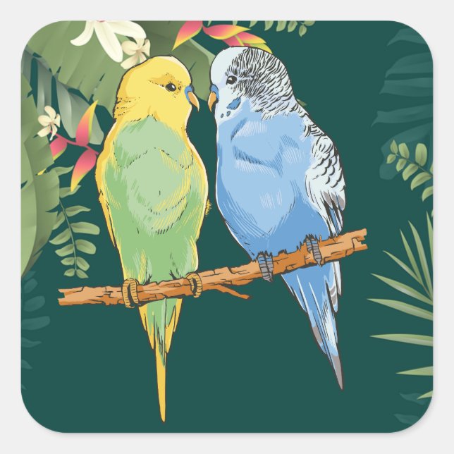 Sticker Carré Two cute bleu et green Budgies (Devant)