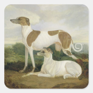 Sticker Carré Two Greyhounds in a Landscape