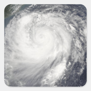 Sticker Carré Typhon Haitang