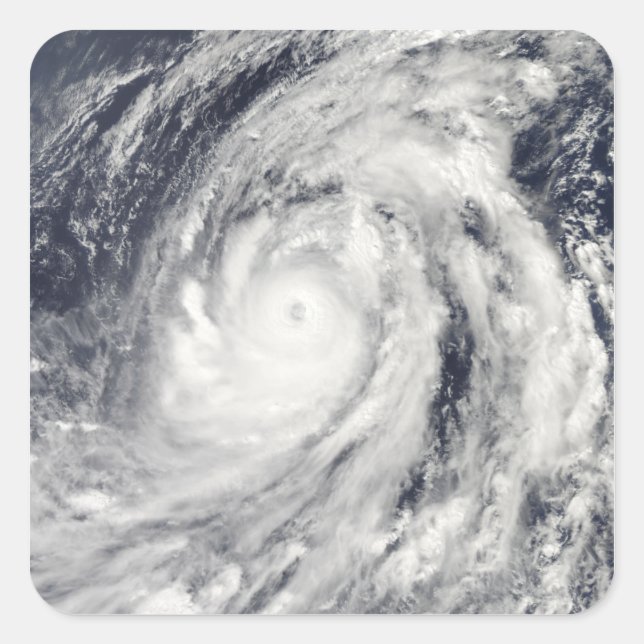 Sticker Carré Typhon Lupit (Devant)