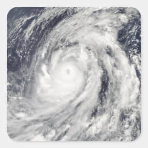 Sticker Carré Typhon Lupit