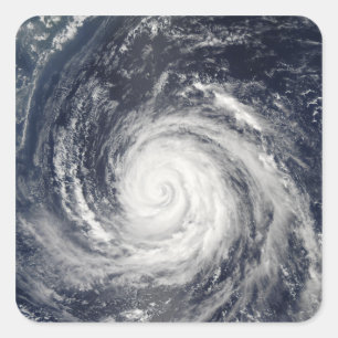 Sticker Carré Typhon Rusa