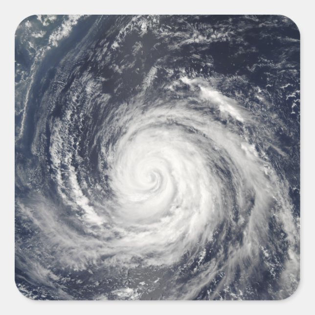 Sticker Carré Typhon Rusa (Devant)