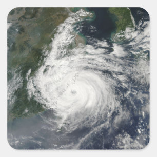 Sticker Carré Typhon Sinlaku