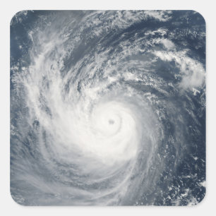 Sticker Carré Typhon Taim