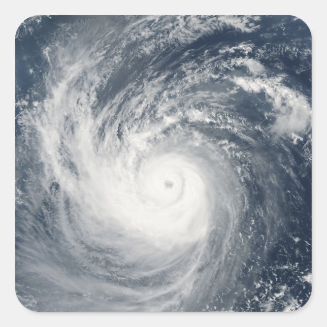 Sticker Carré Typhon Taim (Devant)