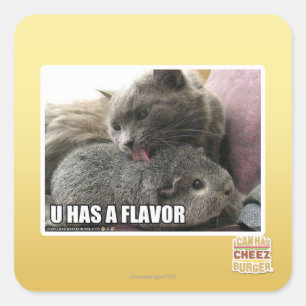 STICKER CARRÉ U A UNE SAVEUR