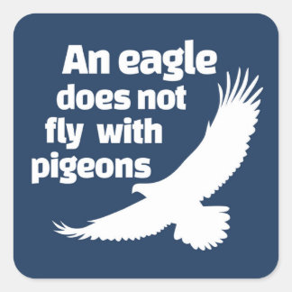Sticker Carré Un aigle ne vole pas avec des pigeons