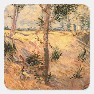 Sticker Carré Un arbre dans un champ pendant la journée ensoleil