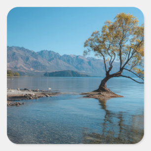 Sticker Carré Un arbre dans un lac