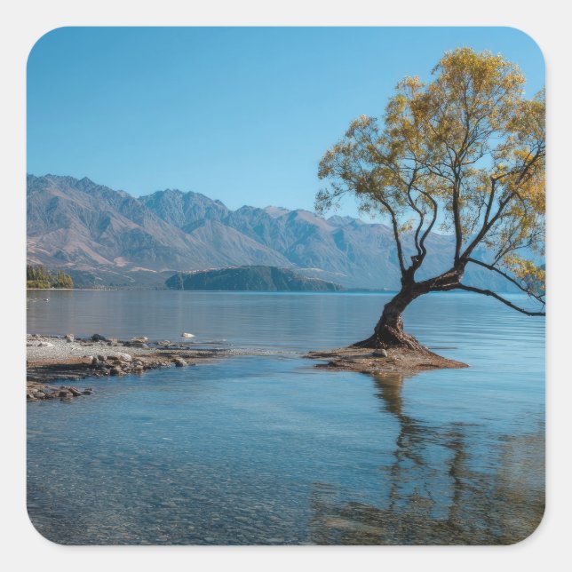 Sticker Carré Un arbre dans un lac (Devant)