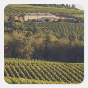 Sticker Carré Un bâtiment en bronzage au sommet du tir à l'arc s